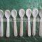 High Quality Spoon, Spoon Safe for Food, Spoon Made From Natural Seashell