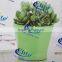 interior decorative pots