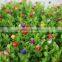 colorful artificail Eucalyptus grass mat green foliage plants with flowers