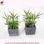 Cheap wholesales fake bonsai.artificial mini bonsai for home decoration