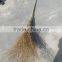 High and cheap Korean bamboo broom wholesales