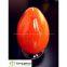 Solvent Orange 62 Metal Complex Solvent Dye