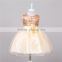 Hot sale fancy toddler frock newborn growns more color baby christening dress