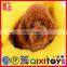 Wholesale comfortable dog bed, pet house design, dog house for sale