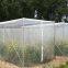 greenhouse used clear plastic mesh insect proof cover net for sale