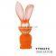Pet interactive latex toy lion squeaker for dog toy