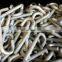 Hot dip galvanized anchor J type hook bolt grade 5 grade 8 J type anchor bolt 3/8