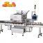 16 Channel Automatic Tablet Counting And Filling Machine Capsule Counting Machine Tablet Pill Counting Machine