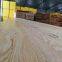H2-S Treated Australia LVL ASNZS 4357 A Bond Span Properties F17+ LVL Beam for Building