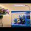 New Product USB Music Mini Fish Tank OEM ODM