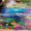 Roll to Roll Hybrid uv Printer Inkjet Banner Printing Machine With Led Lamp
