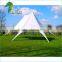 Cheap Double Peaks Star Shaped Outdoor Tent For Sale