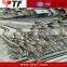 galvanized Y post/galvanized Star Picket