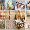 sculpture wood carving machine price cnc router servo motor kit