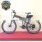 Lionhero electric mountain bike, electric collapsible mountain bike, electric collapsible bicycle