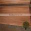 HOT SALE! D grade burckella veneer instead of gurjan veneer
