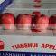 Best Selling Nutritious Apple Fuji Apples Chinese Fuji Apple