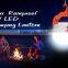 Hot Sale Good Price Unique Design Emergency Lights with Wterproof LED Lantern Mini USB Rechargeable Camping Light