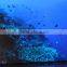 Real Color pixel 7.62mm LED screen p7.62 Indoor SMD3528 1/8 scan Advertising Display Screen