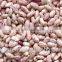 Agricultural Products-Chinese New Crop Light Speckled Kidney Beans With Good Quality                        
                                                Quality Choice