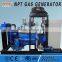 80kw biogas generator price