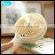 Outside Camping Mini Plastic Water Spray Fan