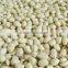 Chinese Shandong Province Origin Round Shape Blanched Peanut Kernels