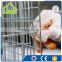 Live Cat Cage Trap HD561731