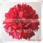 2016 Chinese new year decoration tissue paper pompom beach flag banner