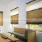double roman zebra blinds