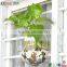new design fashion round acrylic aquarium