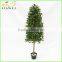 Artificial Decorative Pyramid Bay Tree for Wholesale Wooden Trunk