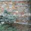 Natural slate garden panel decorative stone cladding