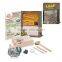 Deluxe Authentic Plant Leaf Fossils Dig Kit