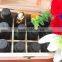 natural hinged divider essential oil storage wooden box