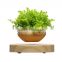 factory direct selling cheap floating air bonsai tree pots