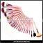 20pcs Cosmetic Brush with Powder Foundation Lip Brush, Cosmetic Tool Kit Set with Pink Cosmetic Bag
