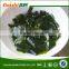 DRIED WAKAME SEAWEED