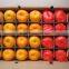 Fresh Baby Mandarin Orange Citrus Fruits