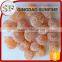 Whole preserved in syrup bulk dried kumquat slice