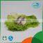 Vacuum package instant canned mackerel fish