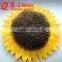 Chinese confectionary of Raw Processing Bulk Sunflower Seeds