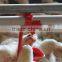 nipple drinking system for broiler farm