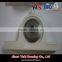 UCP206 Stainless Steel Bearing with Plastic housing