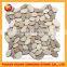 Flat Stone Mixed Pebble Tile, Pebble Tile for Wall Decoration