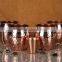 Set of 4 Pure Copper Beer Mugs with Copper Shot Glass , moscow mule mug 100% SOLID COPPER MUGS MANUFACTURER INDIA