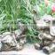 New design lovely elephant statue