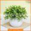 Lovely Custom Love Shape Potted Plants