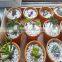 various colored wholesale aquarium gravel