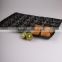 Laizhou Pengzhou PP Food Packaging 39*59cm for Kiwifruit